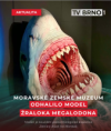 /album/fotogalerie-new/img-5690-png/